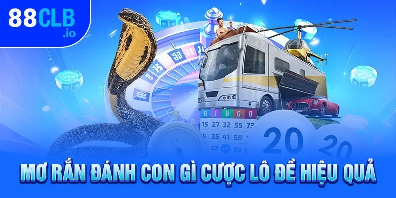 Mơ rắn đánh con gì cược lô đề hiệu quả Mơ rắn đánh con gì cược lô đề hiệu quả