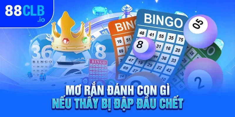 Mơ rắn đánh con gì nếu thấy bị đập đầu chết Mơ rắn đánh con gì nếu thấy bị đập đầu chết
